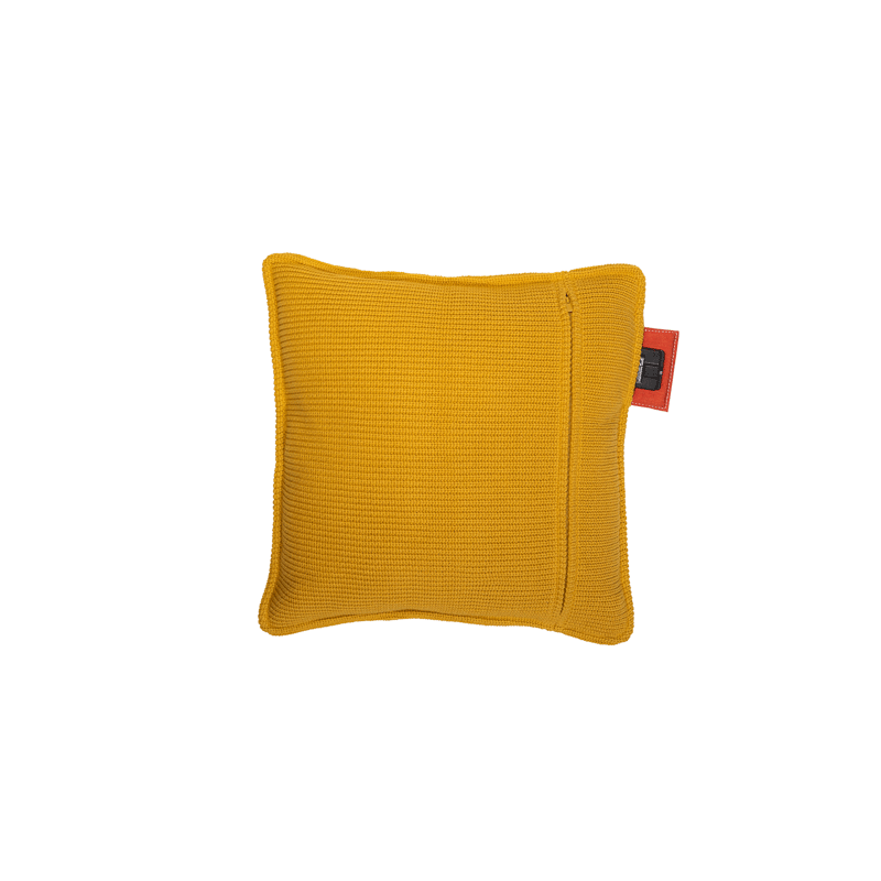 back #color_ocher-yellow