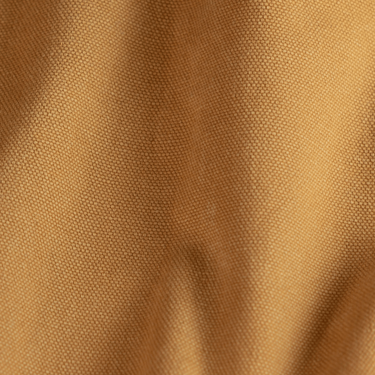 #color_ocher-yellow